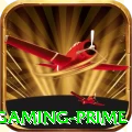 c81 Gaming Prime