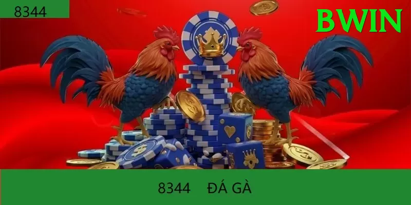 Đá Gà Trực Tiếp - Trải nghiệm tuyệt vời - App