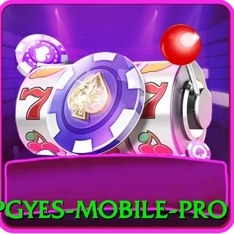 pgyes Mobile Pro - plataforma
